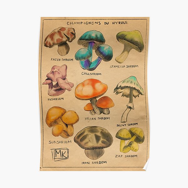 Champignons of Hyrule Poster RB1608 product Offical zelda Merch
